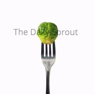 the daily sprout